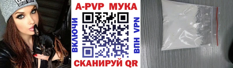 Альфа ПВП СК  Вольск 