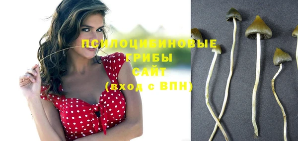 альфа пвп Приозерск